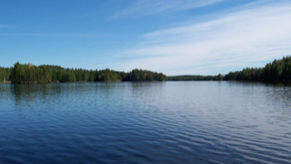 Die Freunde der NDR Radiophilharmonie stellen die Spurensuche am 21.03.2019 vor.