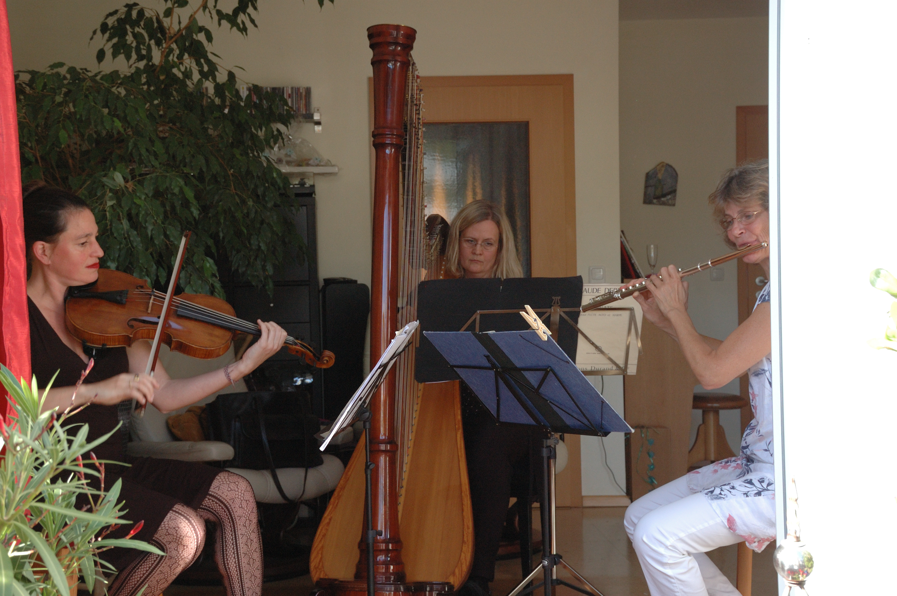 Die Freunde der NDR Radiophilharmonie stellen das Hauskonzert 2019 vor. Foto: Dagmar Mogwitz